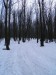 Na Pezinskej Babe 28.II.2015 popoludní, sneh 15-20 cm, Teplota 5 °C